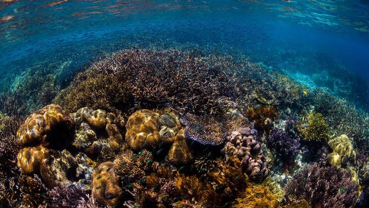 Вступает в силу международный договор о защите морской среды, меняющий правила игры