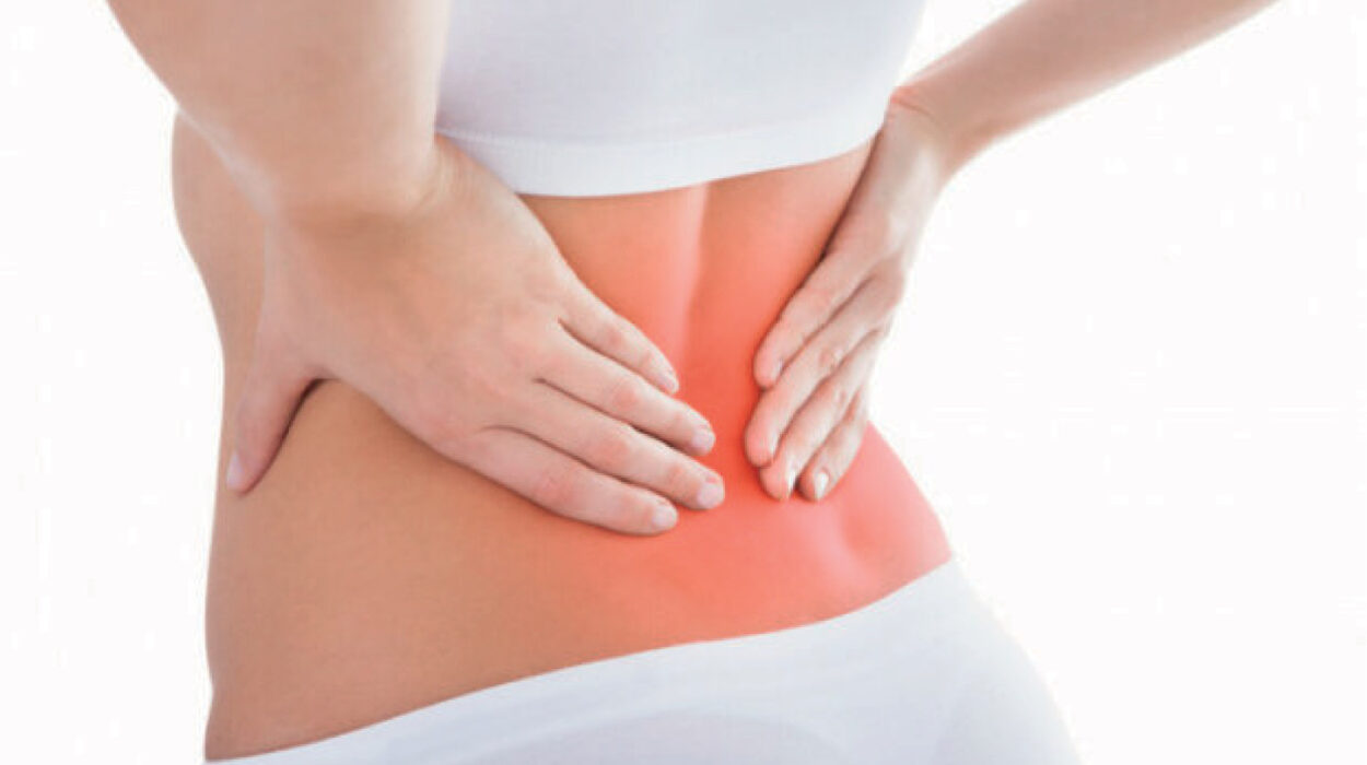 Анкилозирующий спондилит — статья. Автор Кундер Е. В.