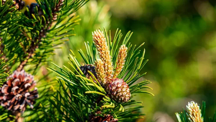 ЖК Шекспир в Санкт-Петербурге | Застройщик Л1