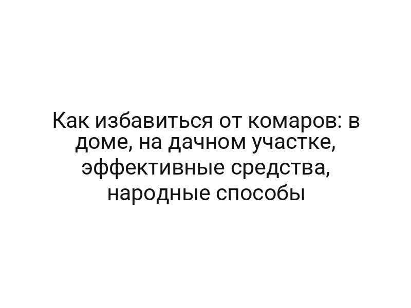 Как избавиться от комаров: в доме, на дачном участке, эффективные средства, народные способы